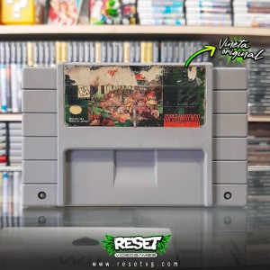 Donkey Kong Country