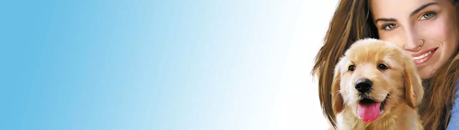 dreamer-series-puppy-trainer.webp