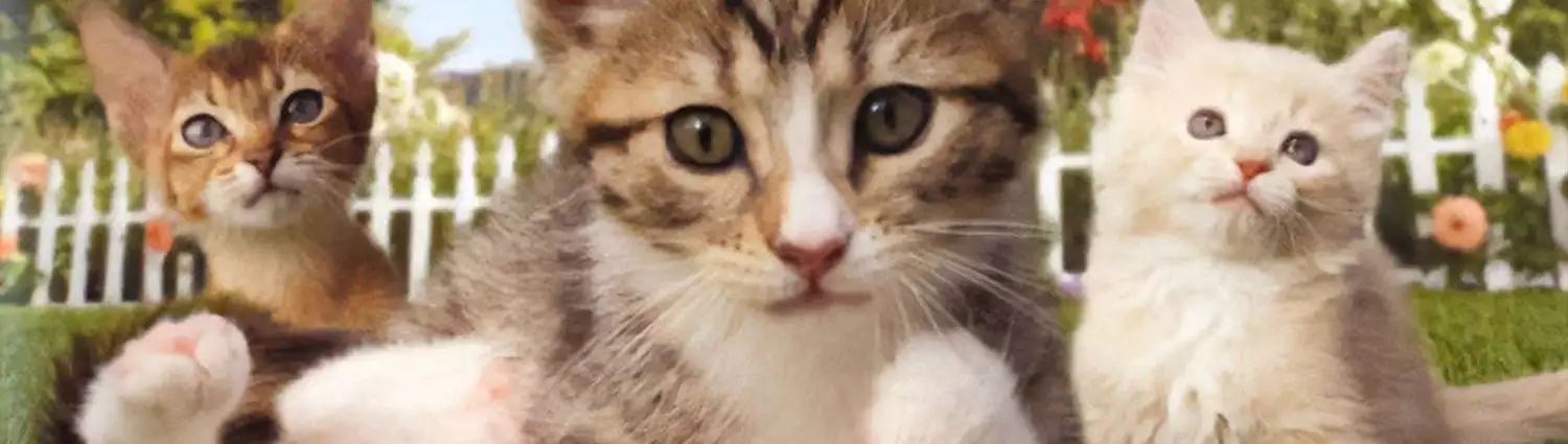 petz-catz-2.webp