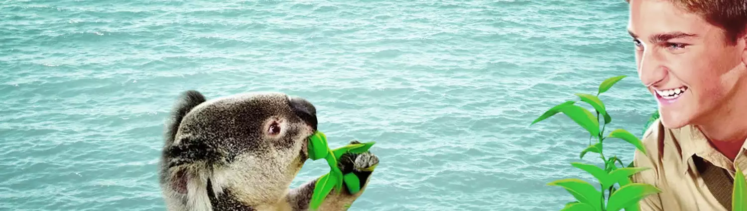 petz-rescue-endangered-paradise.webp