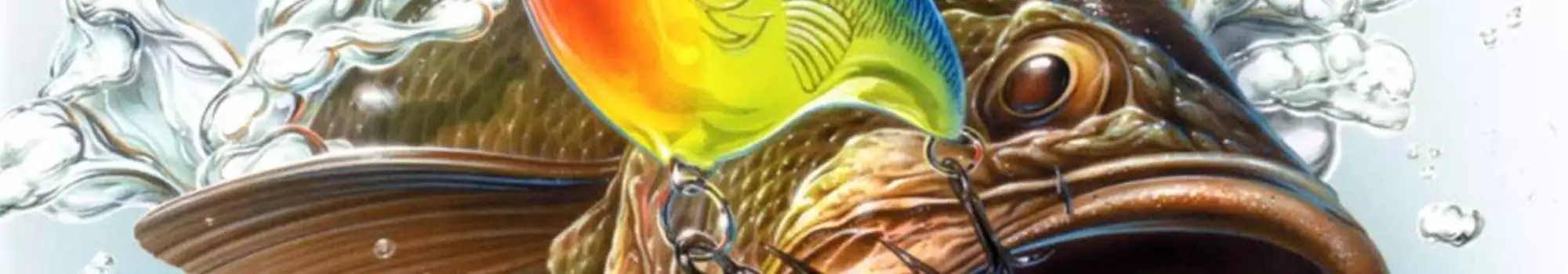 rapala-pro-fishing.webp