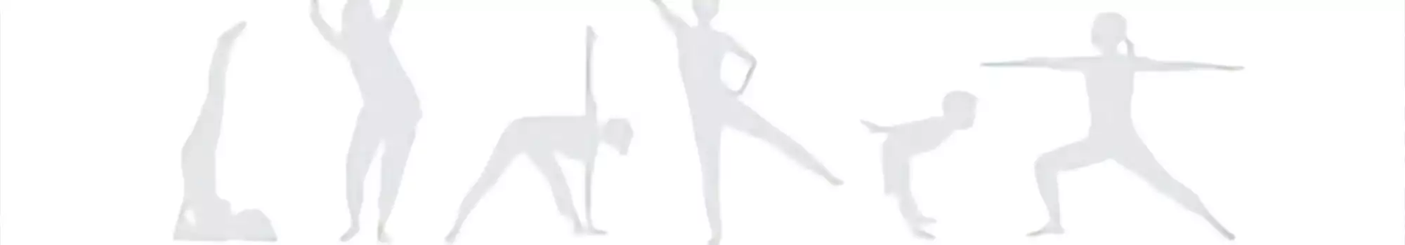 wii-fit.webp
