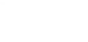 Nintendo Wii